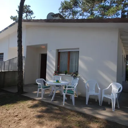 Usignolo * Lignano Sabbiadoro